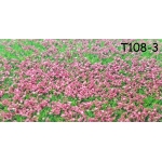 Tappeto erboso T108-3